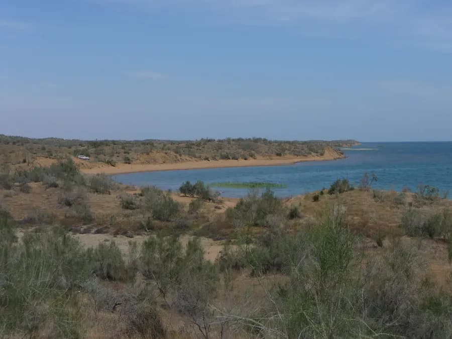 Reed shore and sand