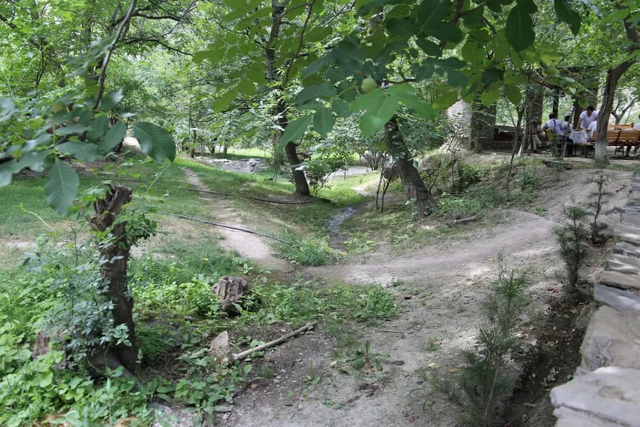 Stone-lane morning