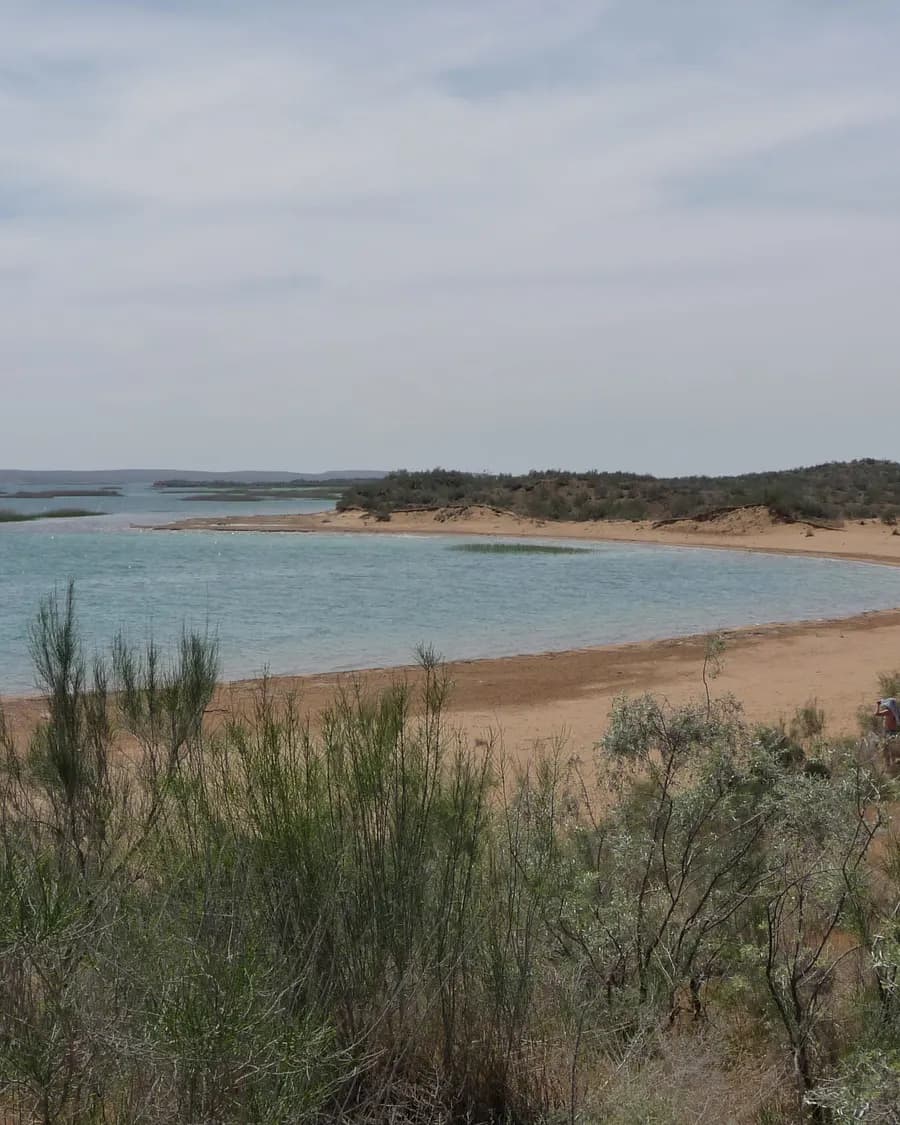Aydarkul