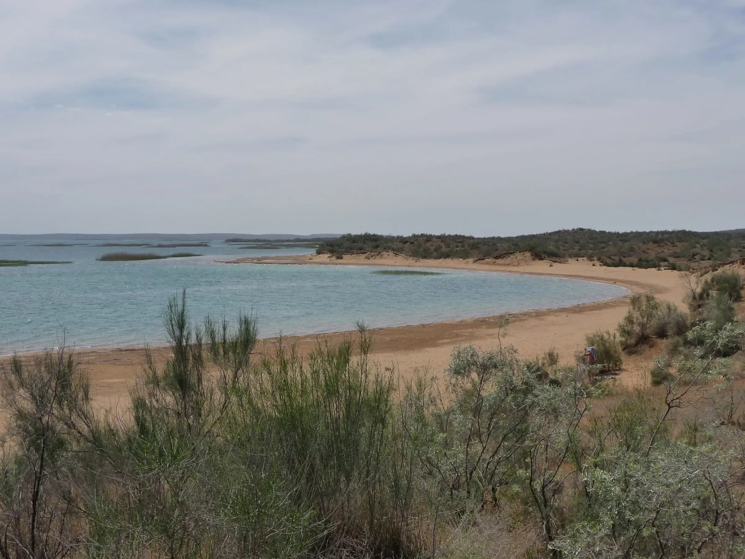 Aydarkul