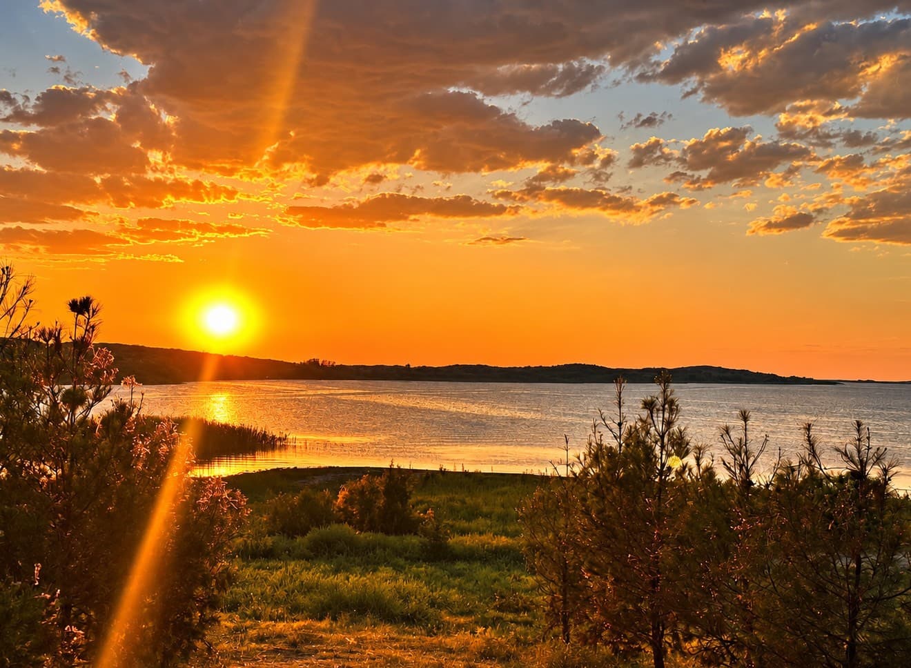 Sunset at Aydarkul: an orange sun low over the water, golden clouds, and shrubs and trees in the foreground